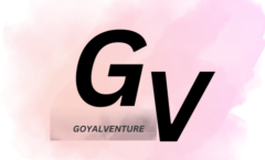 goyalventure.in